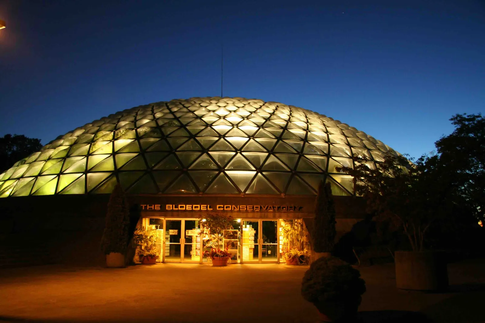 Indoor tropical conservatory with dome structure and birds.