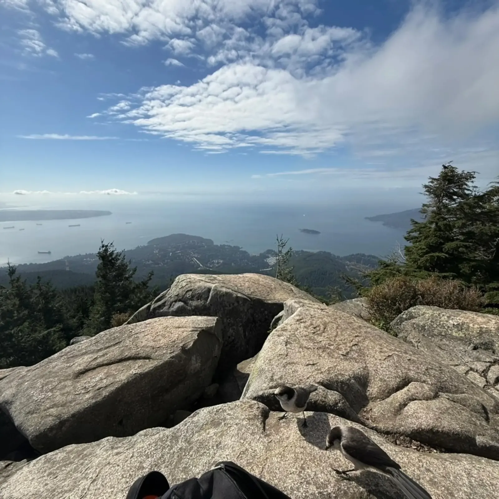 Eagle Bluffs trail and Howe Sound viewpoint