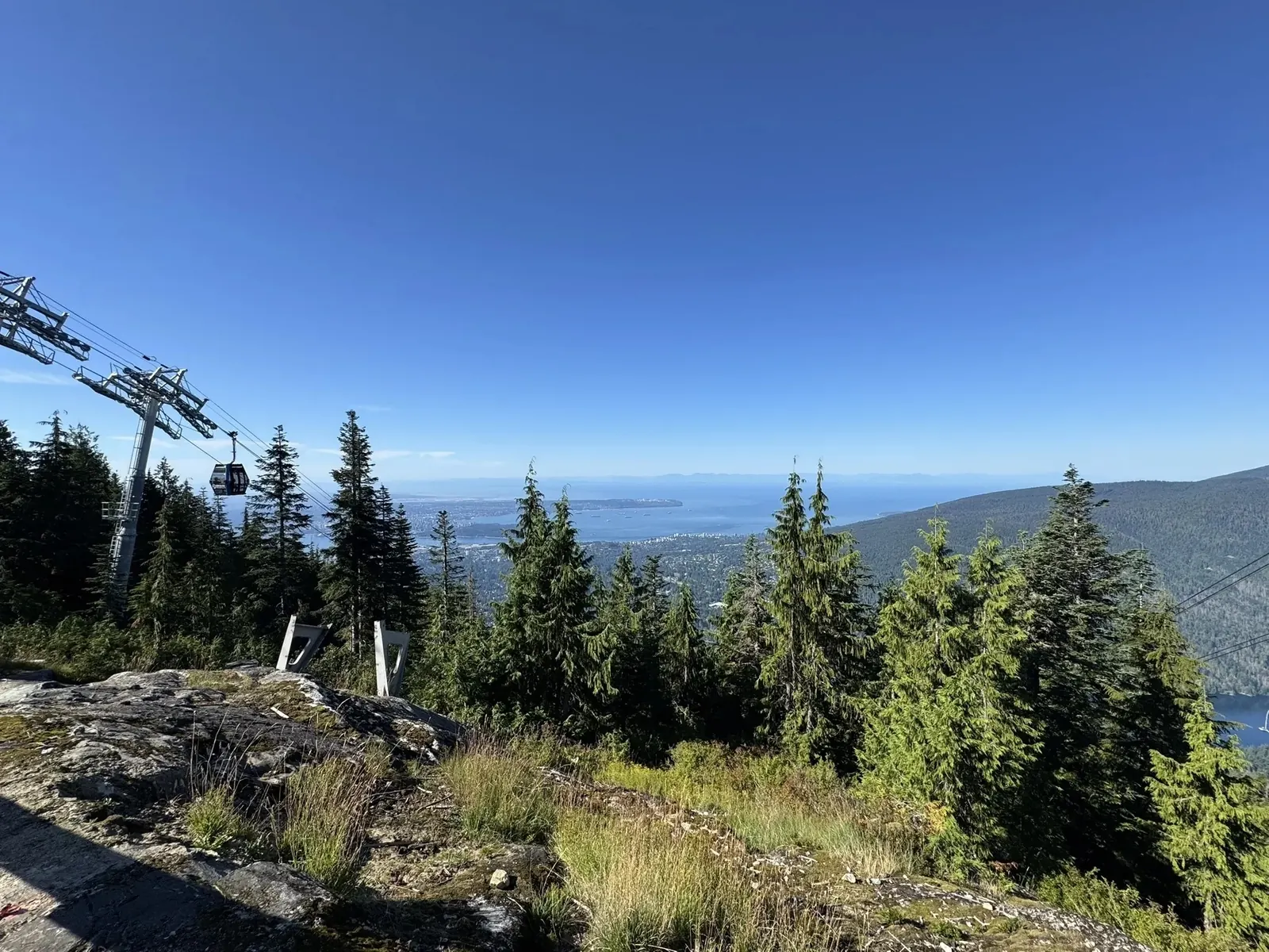 Grouse Grind steep forest trail
