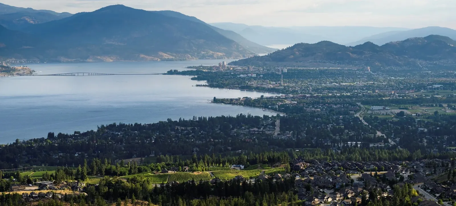 Okanagan valley vineyard landscape