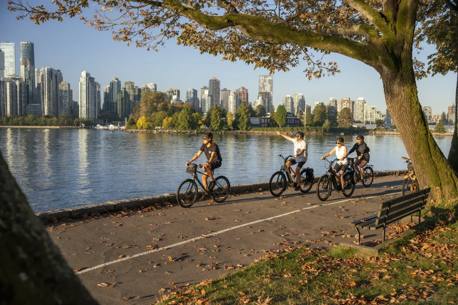 Stanley Park forest and seawall path