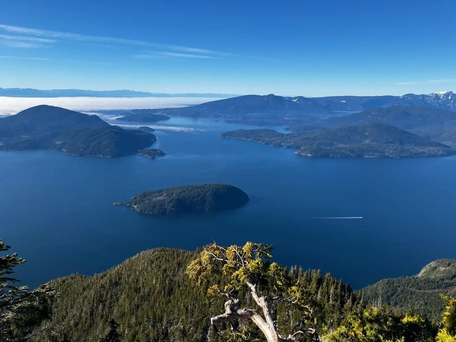 St. Mark's Summit coastal mountain trail